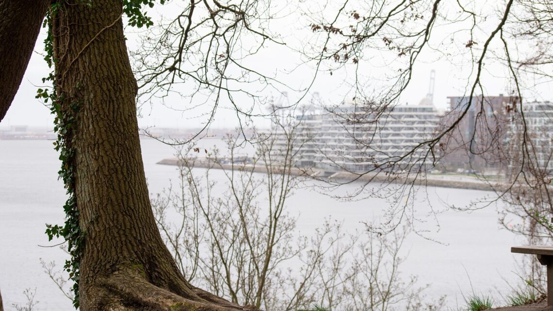 Hvepsebekæmpelse Aarhus naturligt